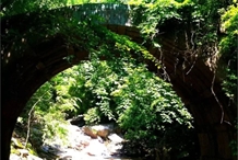 《峡谷情》之长生桥